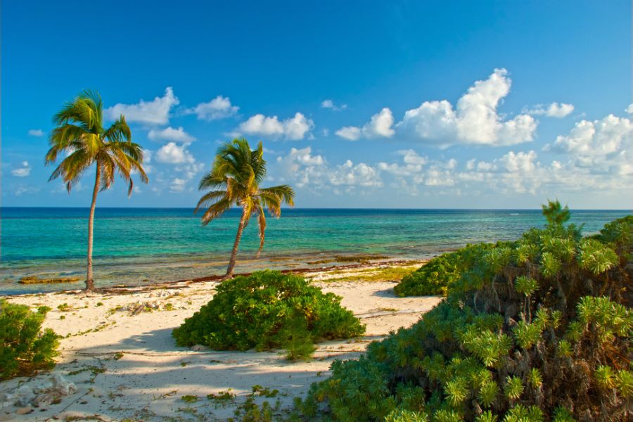 Experience Thrilling Water Sports Across the Cayman Islands