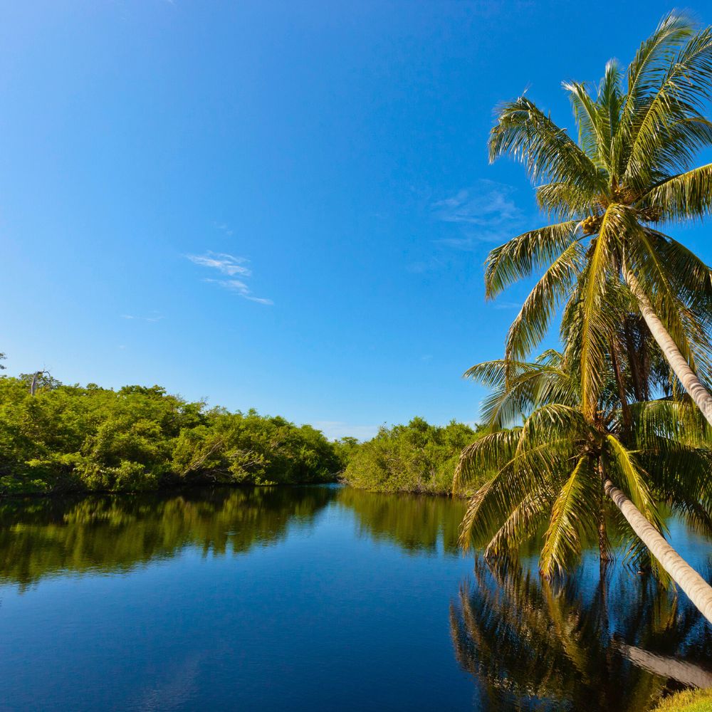 Queen Elizabeth II Botanic Park
